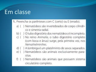 Em classe
 