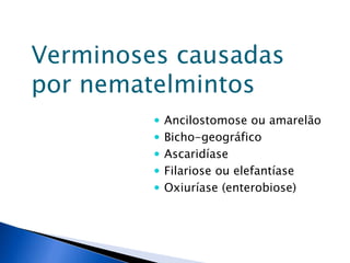 Verminoses causadas
por nematelmintos
 Ancilostomose ou amarelão
 Bicho-geográfico
 Ascaridíase
 Filariose ou elefantíase
 Oxiuríase (enterobiose)
 