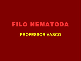 FILO NEMATODA PROFESSOR VASCO 