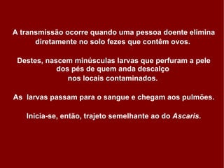 A transmissão ocorre quando uma pessoa doente elimina diretamente no solo fezes que contêm ovos.  Destes, nascem minúsculas larvas que perfuram a pele dos pés de quem anda descalço  nos locais contaminados.  As  larvas passam para o sangue e chegam aos pulmões. Inicia-se, então, trajeto semelhante ao do  Ascaris . 