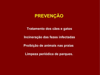 Tratamento dos cães e gatos Incineração das fezes infectadas  Proibição de animais nas praias  Limpeza periódica de parques. PREVENÇÃO  