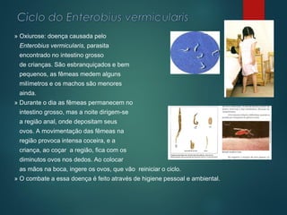 » Oxiurose: doença causada pelo
Enterobius vermicularis, parasita
encontrado no intestino grosso
de crianças. São esbranquiçados e bem
pequenos, as fêmeas medem alguns
milímetros e os machos são menores
ainda.
» Durante o dia as fêmeas permanecem no
intestino grosso, mas a noite dirigem-se
a região anal, onde depositam seus
ovos. A movimentação das fêmeas na
região provoca intensa coceira, e a
criança, ao coçar a região, fica com os
diminutos ovos nos dedos. Ao colocar
as mãos na boca, ingere os ovos, que vão reiniciar o ciclo.
» O combate a essa doença é feito através de higiene pessoal e ambiental.
 