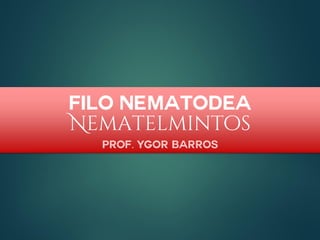 Filo Nematodea
Nematelmintos
Prof. Ygor Barros
 