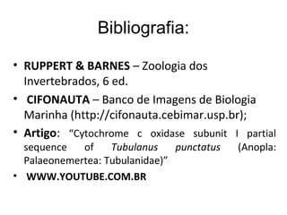 Bibliografia:
• RUPPERT & BARNES – Zoologia dos
Invertebrados, 6 ed.
• CIFONAUTA – Banco de Imagens de Biologia
Marinha (http://cifonauta.cebimar.usp.br);
• Artigo: “Cytochrome c oxidase subunit I partial
sequence of Tubulanus punctatus (Anopla:
Palaeonemertea: Tubulanidae)”
• WWW.YOUTUBE.COM.BR
 