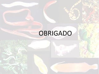 OBRIGADO
 