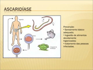 Prevenção:
• Saneamento básico
adequado;
• Ingestão de alimentos
devidamente
higienizados;
• tratamento das pessoas
infectadas.
 