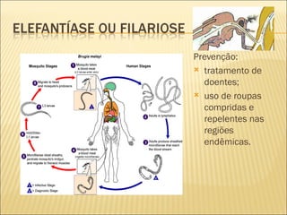 Prevenção:
 tratamento de
  doentes;
 uso de roupas
  compridas e
  repelentes nas
  regiões
  endêmicas.
 