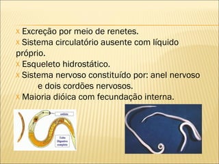 x Excreção por meio de renetes.
x Sistema circulatório ausente com líquido
próprio.
x Esqueleto hidrostático.
x Sistema nervoso constituído por: anel nervoso
      e dois cordões nervosos.
x Maioria dióica com fecundação interna.
 