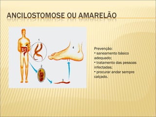 Prevenção:
• saneamento básico
adequado;
• tratamento das pessoas
infectadas;
• procurar andar sempre
calçado.
 