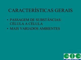PASSAGEM DE SUBSTÂNCIAS: CÉLULA A CÉLULA MAIS VARIADOS AMBIENTES CARACTERÍSTICAS GERAIS 
