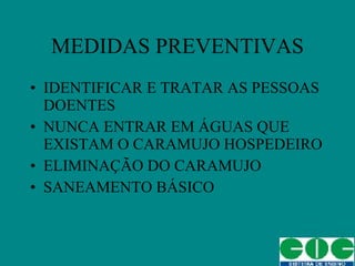 MEDIDAS PREVENTIVAS IDENTIFICAR E TRATAR AS PESSOAS DOENTES NUNCA ENTRAR EM ÁGUAS QUE EXISTAM O CARAMUJO HOSPEDEIRO ELIMINAÇÃO DO CARAMUJO SANEAMENTO BÁSICO 