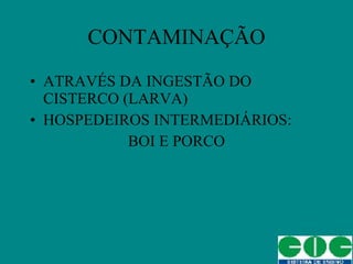 ATRAVÉS DA INGESTÃO DO CISTERCO (LARVA) HOSPEDEIROS INTERMEDIÁRIOS: BOI E PORCO CONTAMINAÇÃO 