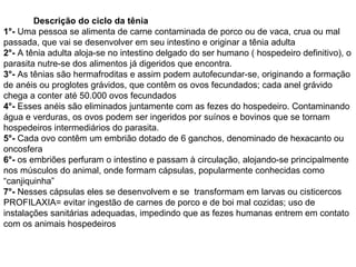 Descrição do ciclo da tênia 1°-  Uma pessoa se alimenta de carne contaminada de porco ou de vaca, crua ou mal passada, que vai se desenvolver em seu intestino e originar a tênia adulta 2°-  A tênia adulta aloja-se no intestino delgado do ser humano ( hospedeiro definitivo), o parasita nutre-se dos alimentos já digeridos que encontra. 3°-  As tênias são hermafroditas e assim podem autofecundar-se, originando a formação de anéis ou proglotes grávidos, que contêm os ovos fecundados; cada anel grávido chega a conter até 50.000 ovos fecundados 4°-  Esses anéis são eliminados juntamente com as fezes do hospedeiro. Contaminando água e verduras, os ovos podem ser ingeridos por suínos e bovinos que se tornam hospedeiros intermediários do parasita. 5°-  Cada ovo contêm um embrião dotado de 6 ganchos, denominado de hexacanto ou oncosfera 6°-  os embriões perfuram o intestino e passam à circulação, alojando-se principalmente nos músculos do animal, onde formam cápsulas, popularmente conhecidas como “canjiquinha” 7°-  Nesses cápsulas eles se desenvolvem e se  transformam em larvas ou cisticercos  PROFILAXIA= evitar ingestão de carnes de porco e de boi mal cozidas; uso de instalações sanitárias adequadas, impedindo que as fezes humanas entrem em contato com os animais hospedeiros 