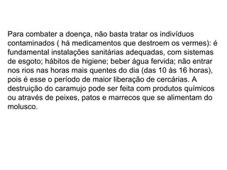 Para combater a doença, não basta tratar os indivíduos contaminados ( há medicamentos que destroem os vermes): é fundamental instalações sanitárias adequadas, com sistemas de esgoto; hábitos de higiene; beber água fervida; não entrar nos rios nas horas mais quentes do dia (das 10 às 16 horas), pois é esse o período de maior liberação de cercárias. A destruição do caramujo pode ser feita com produtos químicos ou através de peixes, patos e marrecos que se alimentam do molusco. 