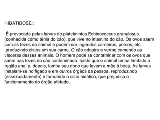 HIDATIDOSE : É provocada pelas larvas do platelmintes Echinococcus granulosus (conhecida como tênia do cão), que vive no intestino do cão. Os ovos saem com as fezes do animal e podem ser ingeridos carneiros, porcos, etc. ,produzindo cistos em sua carne. O cão adquire o verme comendo as vísceras desses animais. O homem pode se contaminar com os ovos que saem nas fezes do cão contaminado: basta que o animal tenha lambido a região anal e, depois, lamba seu dono que levem a mão à boca. As larvas instalam-se no fígado e em outros órgãos da pessoa, reproduzindo (assexuadamente) e formando o cisto hidático, que prejudica o funcionamento do órgão afetado.  