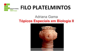 FILO PLATELMINTOS
Adriana Gama
Tópicos Especiais em Biologia II
 