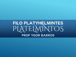 Filo Platyhelmintes
PLATELMINTOS
Prof Ygor Barros
 
