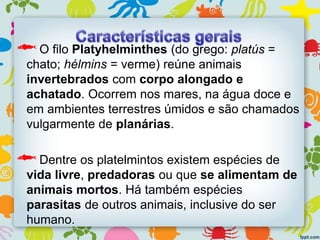 O filo Platyhelminthes (do grego: platús =
chato; hélmins = verme) reúne animais
invertebrados com corpo alongado e
achatado. Ocorrem nos mares, na água doce e
em ambientes terrestres úmidos e são chamados
vulgarmente de planárias.
Dentre os platelmintos existem espécies de
vida livre, predadoras ou que se alimentam de
animais mortos. Há também espécies
parasitas de outros animais, inclusive do ser
humano.
 