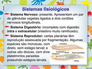 Sistema Nervoso: presente. Apresentam um par
de glândulas vegetais ligados a dois cordões
nervosos longitudinais.
Sistema Digestório: incompleto com digestão
intra e extracelular (intestino muito ramificado).
Sistema Reprodutor: certas planárias têm
reprodução assexuada por fragmentação. Algumas
espécies são monoicas, com desenvolvimento
direto, sem estágio larval; e
outras são dioicas, com diversos
platelmintos parasitas
possuindo estágios larvais.
 