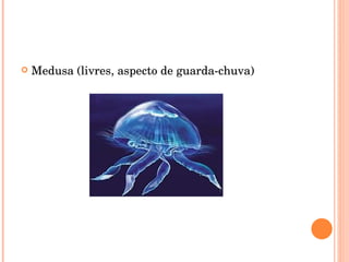 Medusa (livres, aspecto de guarda-chuva)‏ 
