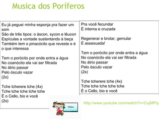 Musica dos Poríferos 
Eu já peguei minha esponja pra fazer um 
som 
São de três tipos: o áscon, sycon e lêucon 
Espículas a vontade sustentando à beça 
Também tem o pinacócito que reveste e é 
o que interessa 
Tem o porócito por onde entra a água 
No coanócito ela vai ser filtrada 
No átrio passar 
Pelo ósculo vazar 
(2x) 
Tche tcherere tche (4x) 
Tche tche tche tche tche 
É o Cello, bio e você 
(2x) 
Pra você fecundar 
É interna e cruzada 
Regenerar e brotar, gemular 
É assexuada! 
Tem o porócito por onde entra a água 
No coanócito ela vai ser filtrada 
No átrio passar 
Pelo ósculo vazar 
(2x) 
Tche tcherere tche (4x) 
Tche tche tche tche tche 
É o Cello, bio e você 
http://www.youtube.com/watch?v=CujMPty5GAQ 
