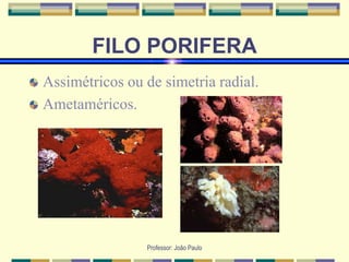 Professor: João Paulo
FILO PORIFERA
Assimétricos ou de simetria radial.
Ametaméricos.
 