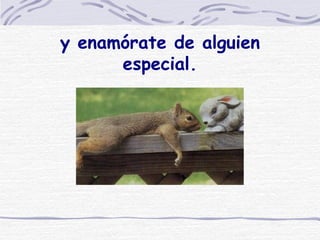 y enamórate de alguien especial. 
