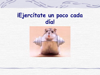 ¡Ejercítate un poco cada día! 