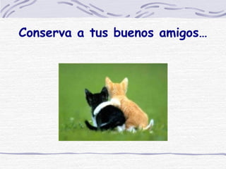 Conserva a tus buenos amigos… 