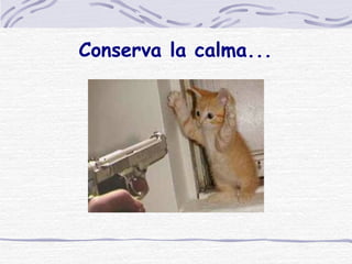 Conserva la calma... 