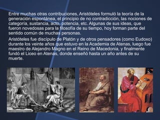 Entre muchas otras contribuciones, Aristóteles formuló la teoría de la
generación espontánea, el principio de no contradicción, las nociones de
categoría, sustancia, acto, potencia, etc. Algunas de sus ideas, que
fueron novedosas para la filosofía de su tiempo, hoy forman parte del
sentido común de muchas personas.
Aristóteles fue discípulo de Platón y de otros pensadores (como Eudoxo)
durante los veinte años que estuvo en la Academia de Atenas, luego fue
maestro de Alejandro Magno en el Reino de Macedonia, y finalmente
fundó el Liceo en Atenas, donde enseñó hasta un año antes de su
muerte.
 