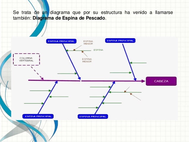 Filosofía de calidad ishikawa