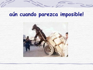 aún cuando parezca imposible! 