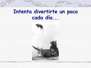 Intenta divertirte un poco cada día... 