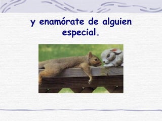 y enamórate de alguien especial. 