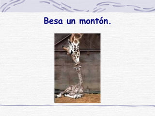 Besa un montón. 