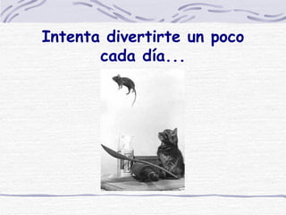 Intenta divertirte un poco cada día... 