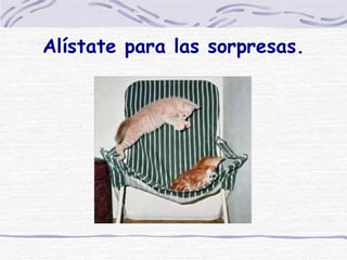 Alístate para las sorpresas. 