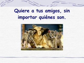 Quiere a tus amigos, sin importar quiénes son. 
