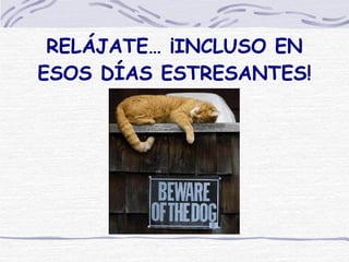 RELÁJATE… ¡INCLUSO EN ESOS DÍAS ESTRESANTES! 