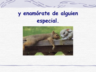 y enamórate de alguien especial. 
