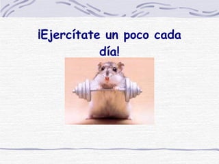 ¡Ejercítate un poco cada día! 