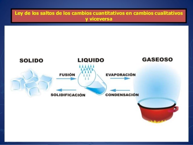 Ley De Transito De Los Cambios Cuantitativos A Cualitativos