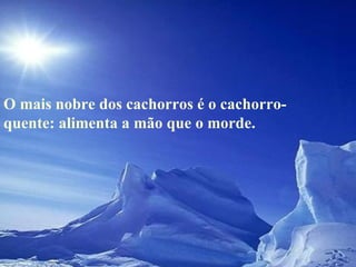 O mais nobre dos cachorros é o cachorro-quente: alimenta a mão que o morde.  
