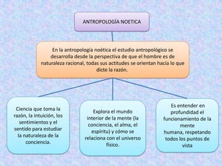 ANTROPOLOGÍA NOETICA En la antropología noética el estudio antropológico se desarrolla desde la perspectiva de que el hombre es de naturaleza racional, todas sus actitudes se orientan hacia lo que dicte la razón. Ciencia que toma la razón, la intuición, los sentimientos y el sentido para estudiar la naturaleza de la conciencia. Es entender en profundidad el funcionamiento de la mente humana, respetando todos los puntos de vistaExplora el mundo interior de la mente (la conciencia, el alma, el espíritu) y cómo se relaciona con el universo físico.