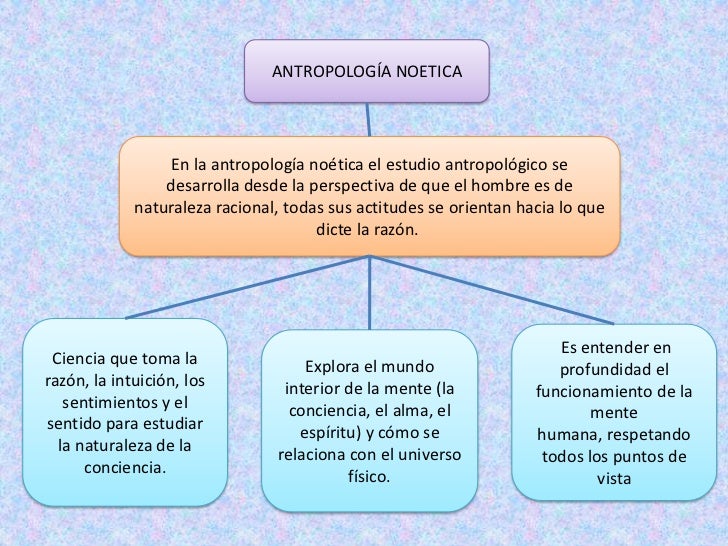 Resultado de imagen de LA ANTROPOLOGÍA noetica
