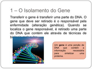 1 – O Isolamento do Gene
Transferir o gene é transferir uma parte do DNA. O
gene que deve ser retirado é o responsável pela
enfermidade (alteração genética). Quando se
localiza o gene responsável, é retirado uma parte
do DNA que contém ele através de técnicas de
biologia molecular.

                            Um gene é uma porção de
                            DNA      que     contém     a
                            informação         necessária
                            para      sintetizar    uma
                            proteína.
 