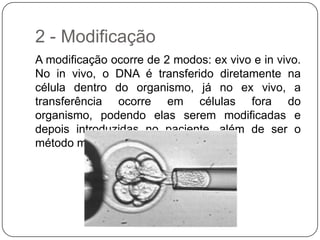 2 - Modificação
A modificação ocorre de 2 modos: ex vivo e in vivo.
No in vivo, o DNA é transferido diretamente na
célula dentro do organismo, já no ex vivo, a
transferência ocorre em células fora do
organismo, podendo elas serem modificadas e
depois introduzidas no paciente, além de ser o
método mais seguro.
 