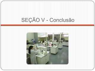 SEÇÃO V - Conclusão
 