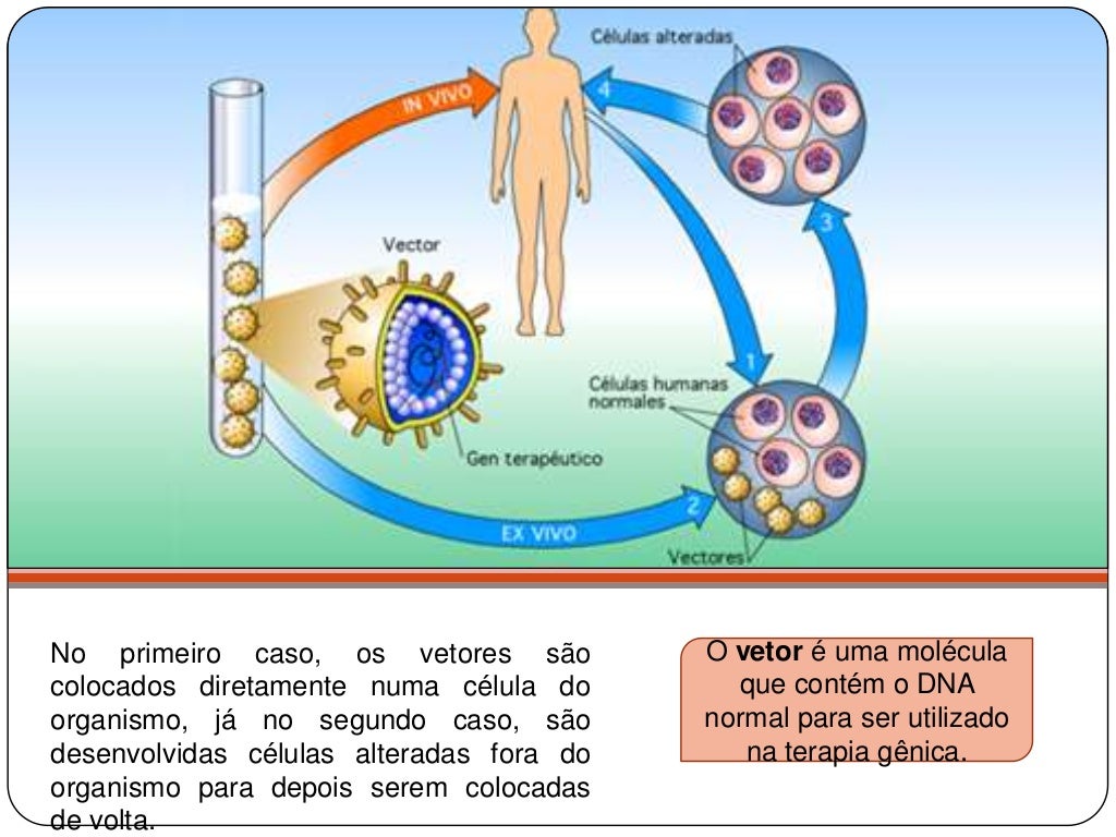 Que Relação Existe Entre A Terapia Gênica E Os Vírus
